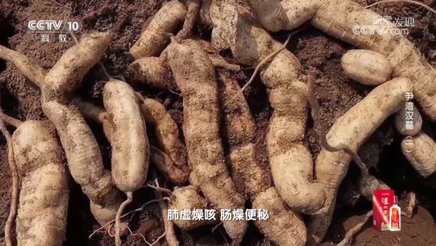 中国电影成为世界看中国的新窗口,新澳门内部一码精准公开,公开决策资料解释落实_界面版V10.5